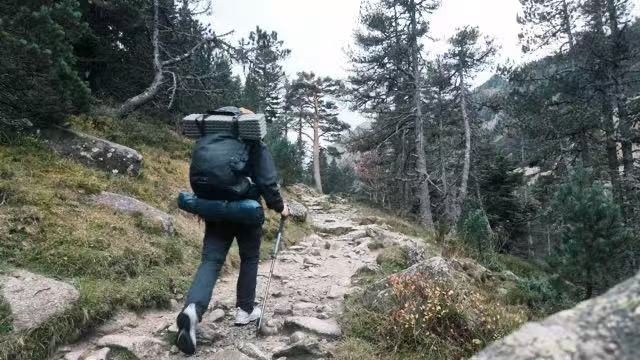 Hiking